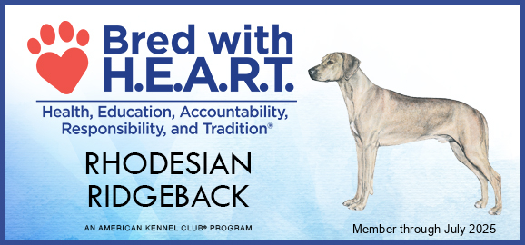 AKC RR HEART